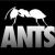 ANTS