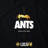 ANTS-ANTS RADIO SHOW